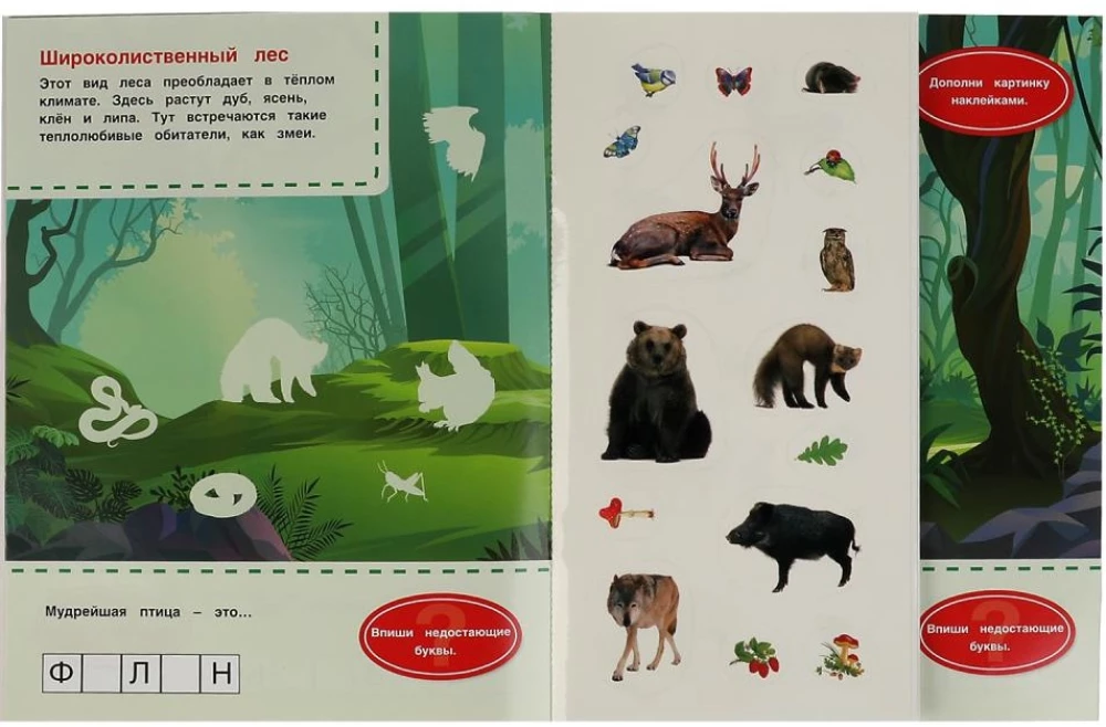 Meža zvēriņi. Mīļākā fotolīmeņu grāmata.