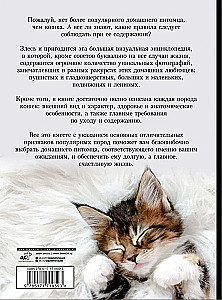 Kaķi. Liela vizuālā enciklopēdija