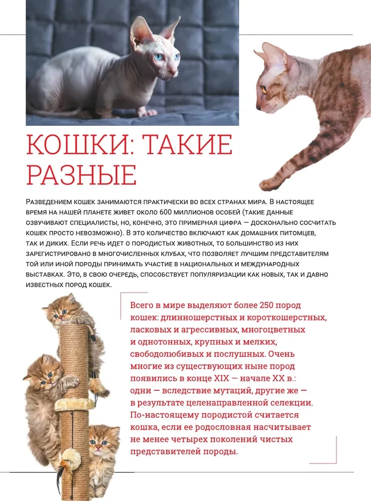 Kaķi. Liela vizuālā enciklopēdija
