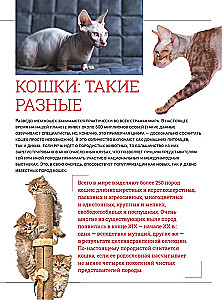 Kaķi. Liela vizuālā enciklopēdija