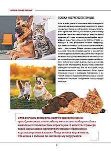 Kaķi. Liela vizuālā enciklopēdija