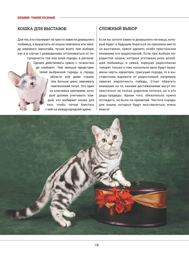 Kaķi. Liela vizuālā enciklopēdija