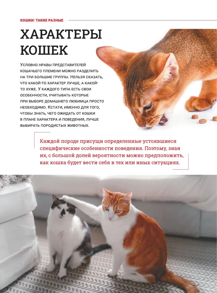 Kaķi. Liela vizuālā enciklopēdija