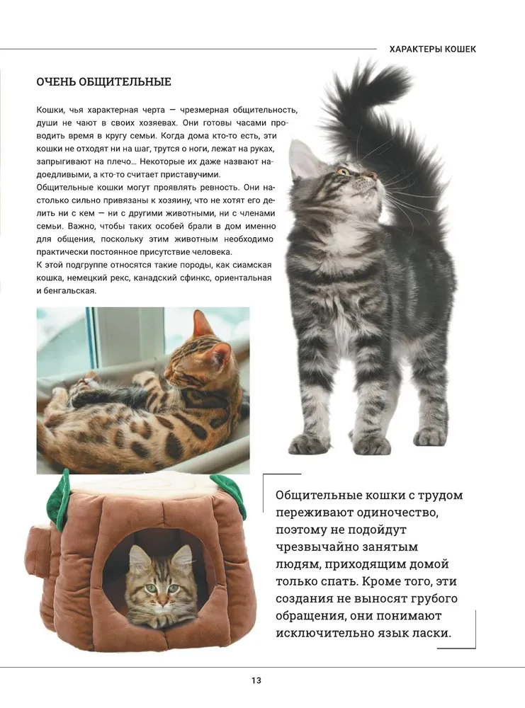 Kaķi. Liela vizuālā enciklopēdija