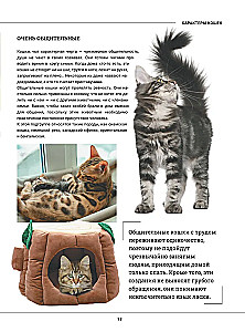 Kaķi. Liela vizuālā enciklopēdija