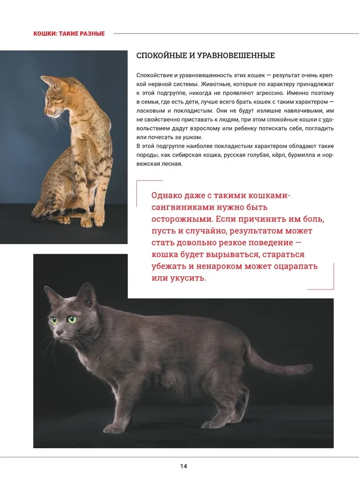Kaķi. Liela vizuālā enciklopēdija