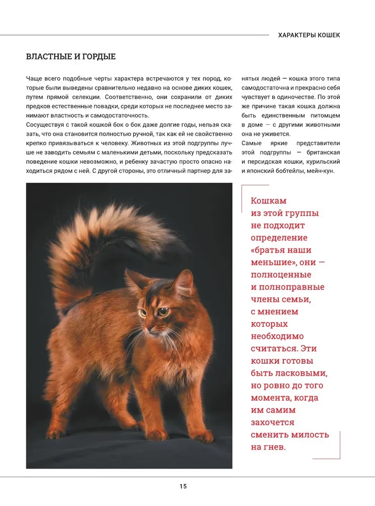 Kaķi. Liela vizuālā enciklopēdija
