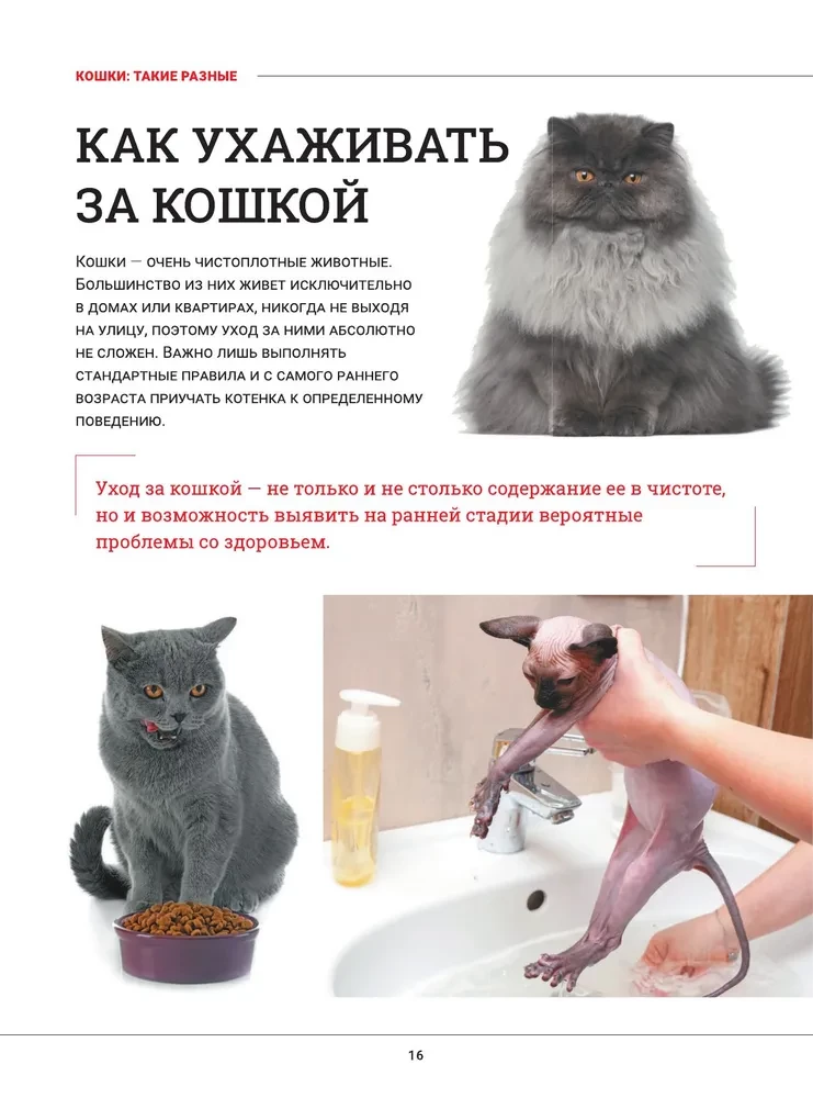 Kaķi. Liela vizuālā enciklopēdija