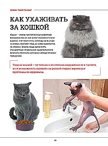 Kaķi. Liela vizuālā enciklopēdija