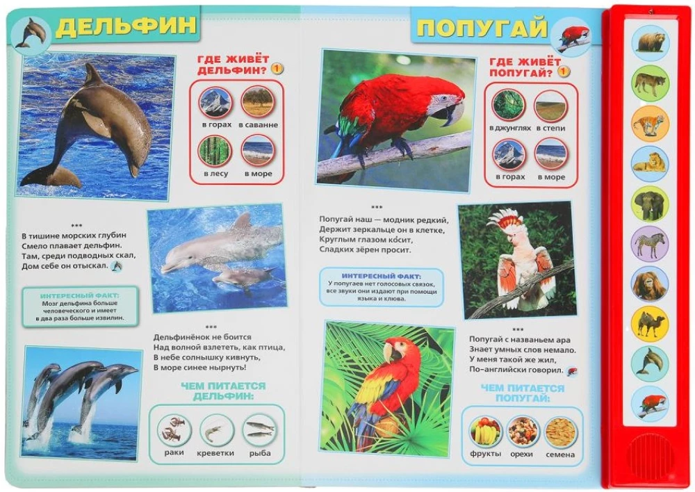 Дикие животные