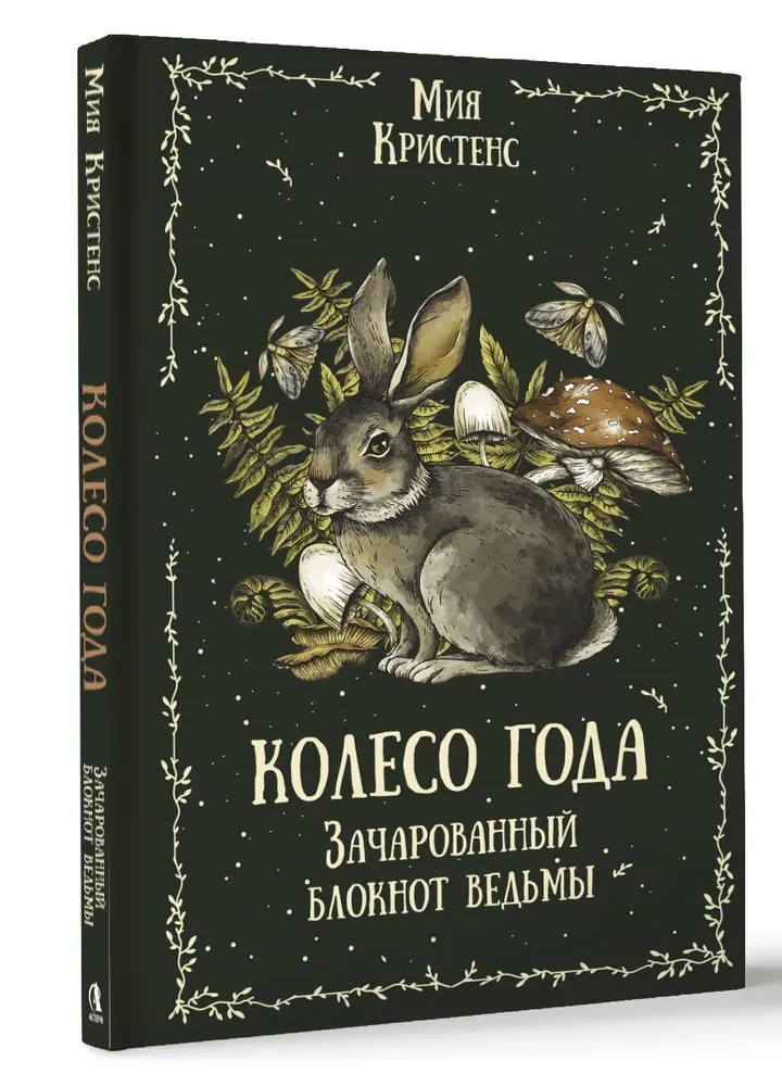 Gada ritenis. Burvju raganas piezīmju grāmata