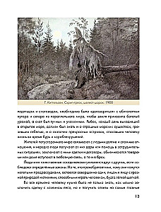 Trollu zemē. Kas ir kas Norvēģu folklorā