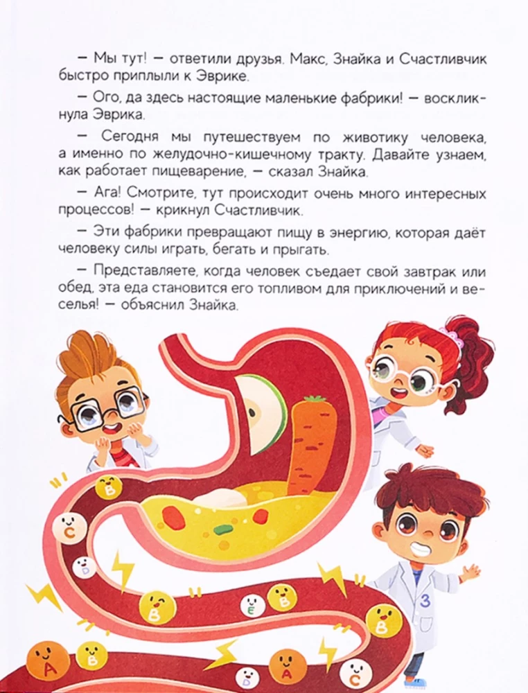 Kā ir iekārtots cilvēks?