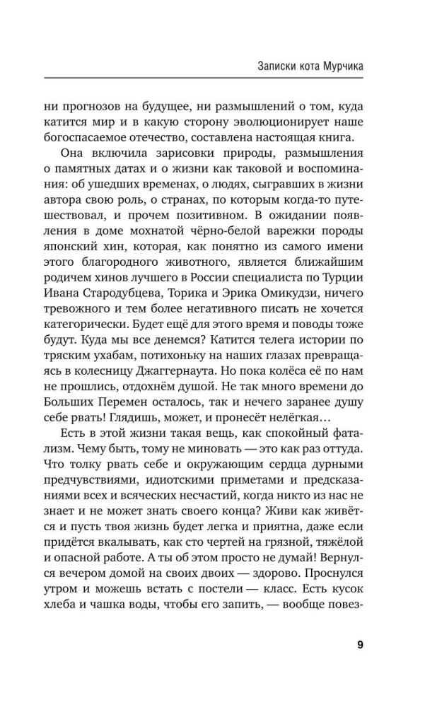 Записки кота Мурчика