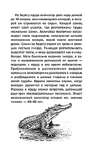 Тайны живой природы