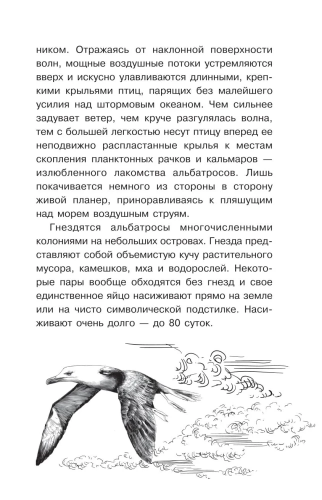 Тайны живой природы