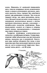 Тайны живой природы