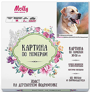 Картина по номерам - Лабрадор ретривер