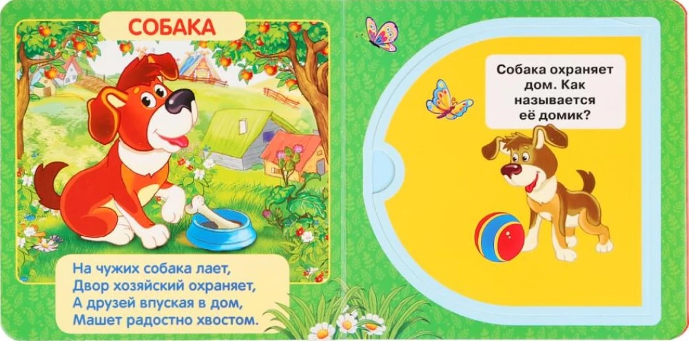 Mājas dzīvnieki