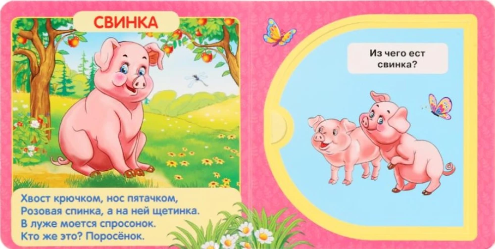 Mājas dzīvnieki