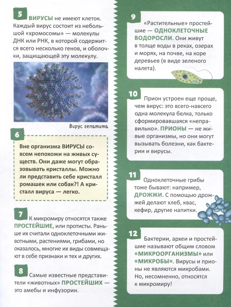 Микромир. Энциклопедия российского школьника