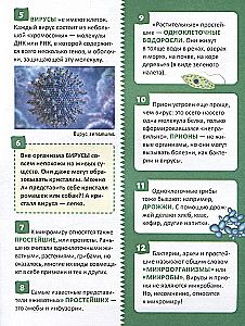 Микромир. Энциклопедия российского школьника