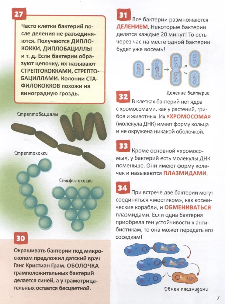 Микромир. Энциклопедия российского школьника