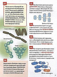 Микромир. Энциклопедия российского школьника