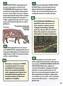 Микромир. Энциклопедия российского школьника