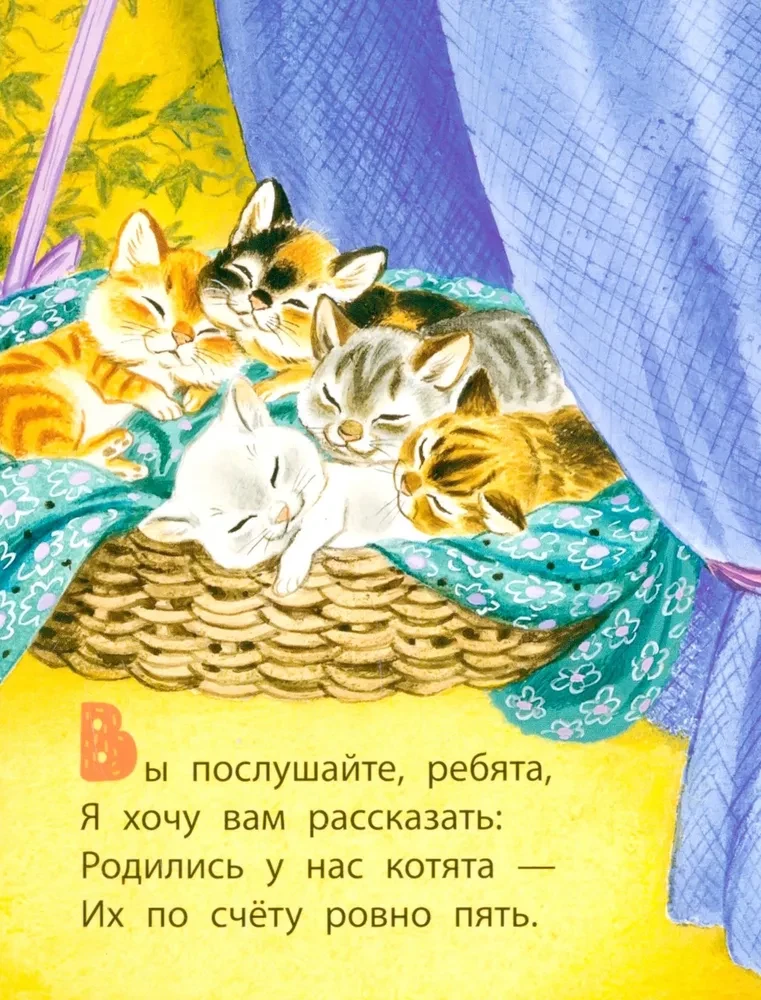 Котята