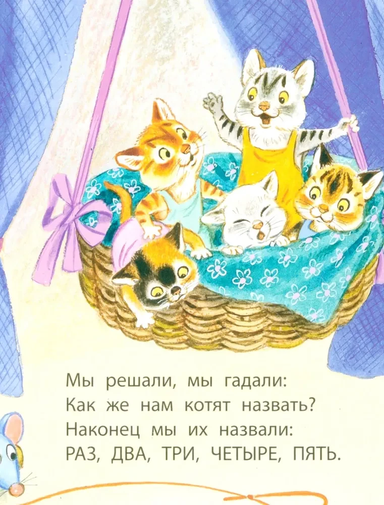 Котята