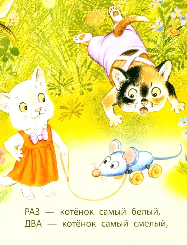 Котята