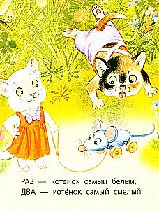 Котята