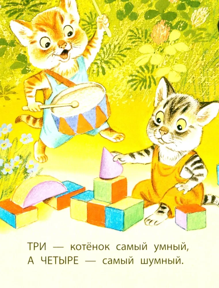Котята