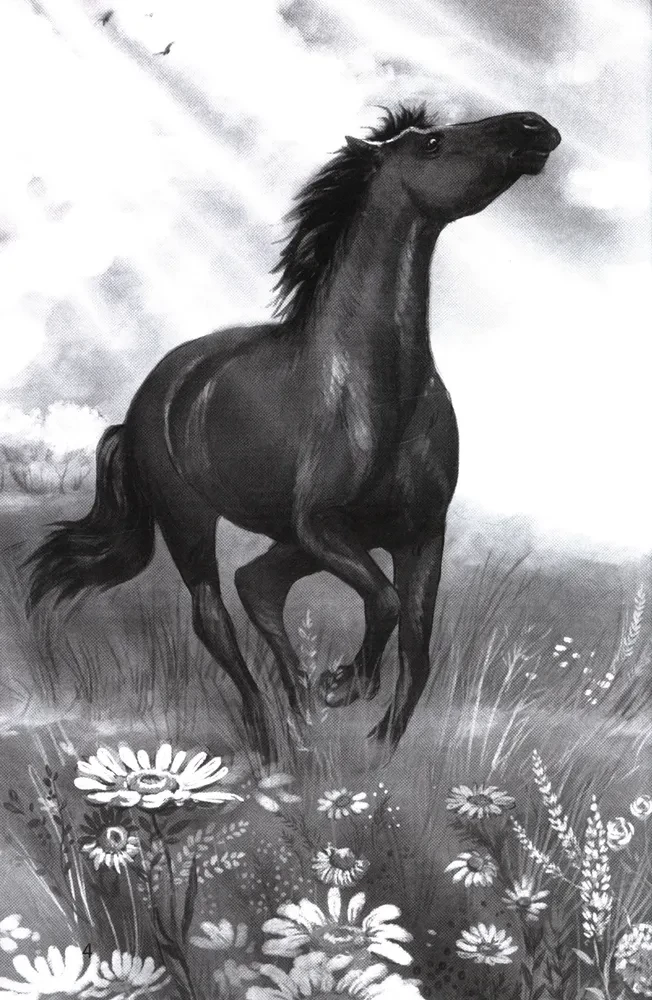 Galope pretī
