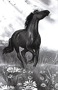 Galope pretī