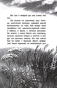 Galope pretī