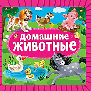 Домашние животные