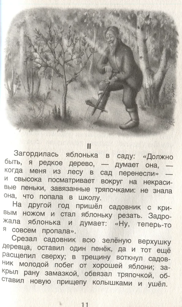 Хрестоматия 1-4 класс. Лучшие рассказы о природе