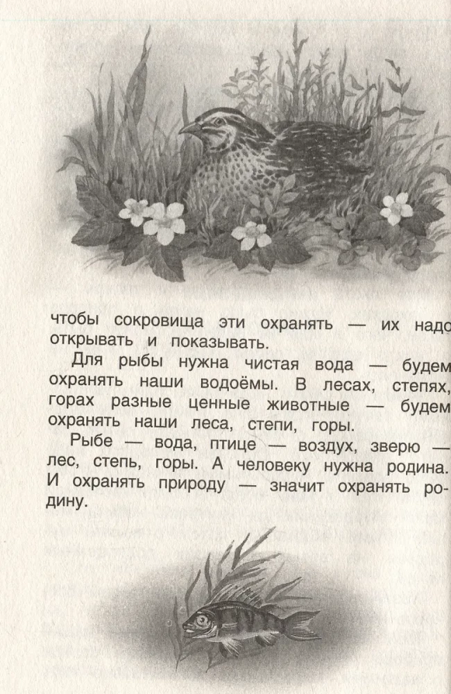 Хрестоматия 1-4 класс. Лучшие рассказы о природе