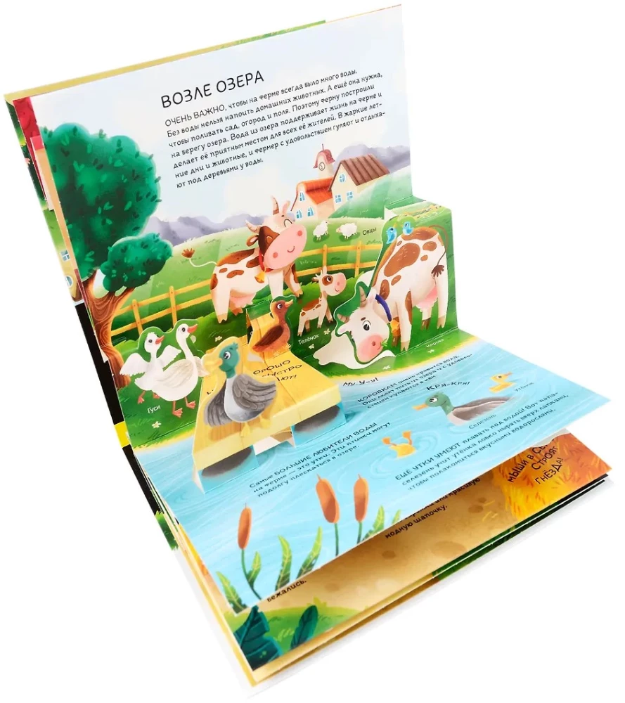 Dinozauri. Kosmoss. Mašīnas. Savvaļas dzīvnieki. Mājdzīvnieki. Anatomija (6 grāmatas ar apjomīgām POP-UP ilustrācijām)