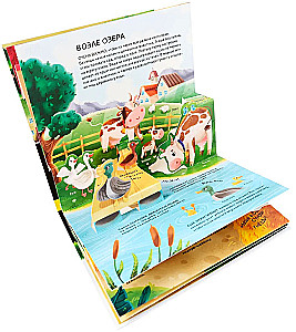 Dinozauri. Kosmoss. Mašīnas. Savvaļas dzīvnieki. Mājdzīvnieki. Anatomija (6 grāmatas ar apjomīgām POP-UP ilustrācijām)