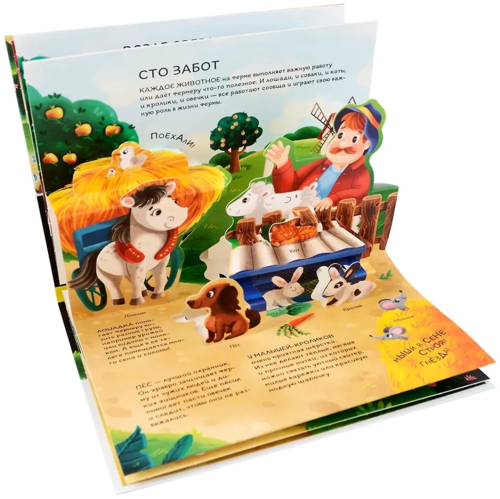 Dinozauri. Kosmoss. Mašīnas. Savvaļas dzīvnieki. Mājdzīvnieki. Anatomija (6 grāmatas ar apjomīgām POP-UP ilustrācijām)