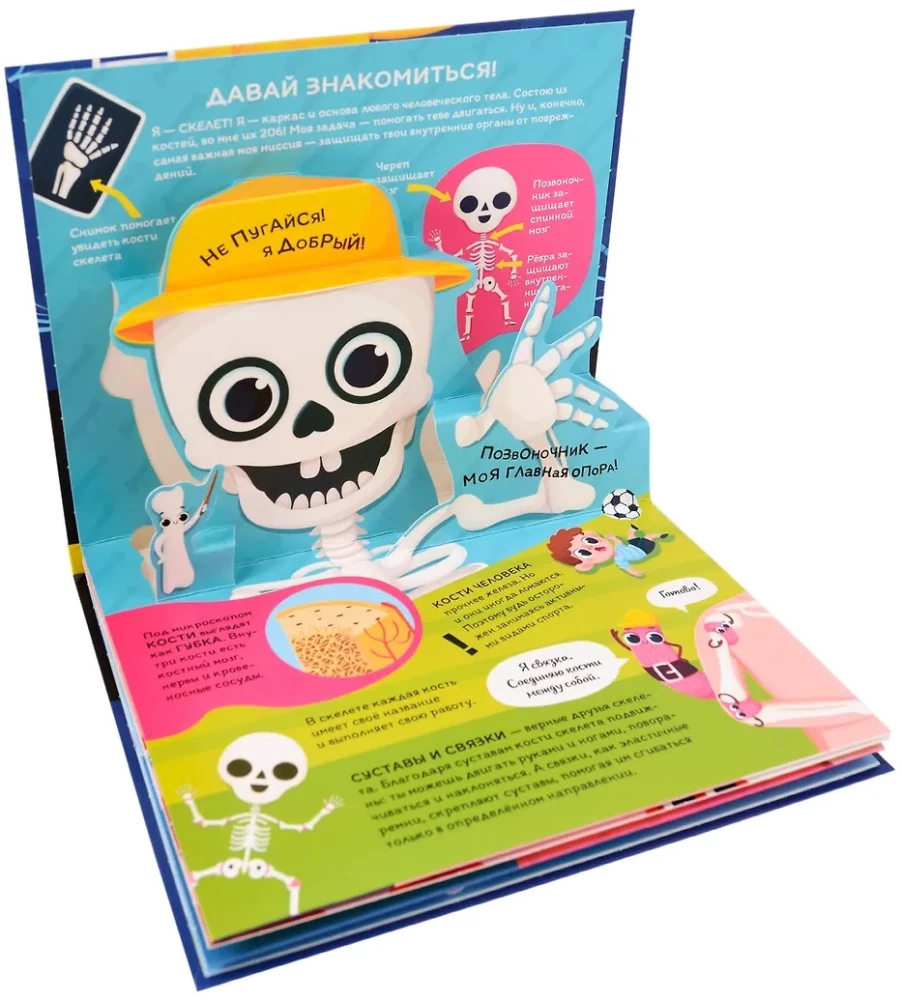 Dinozauri. Kosmoss. Mašīnas. Savvaļas dzīvnieki. Mājdzīvnieki. Anatomija (6 grāmatas ar apjomīgām POP-UP ilustrācijām)