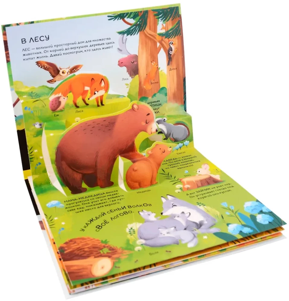 Dinozauri. Kosmoss. Mašīnas. Savvaļas dzīvnieki. Mājdzīvnieki. Anatomija (6 grāmatas ar apjomīgām POP-UP ilustrācijām)
