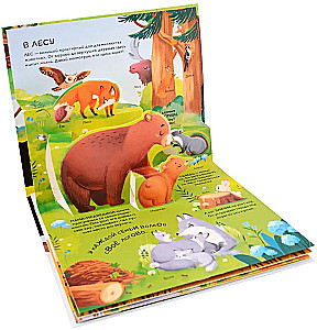 Dinozauri. Kosmoss. Mašīnas. Savvaļas dzīvnieki. Mājdzīvnieki. Anatomija (6 grāmatas ar apjomīgām POP-UP ilustrācijām)