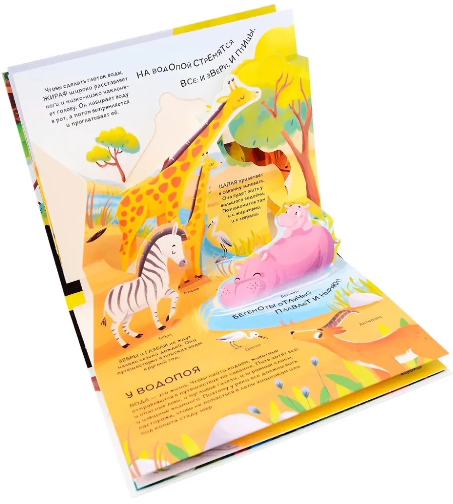 Dinozauri. Kosmoss. Mašīnas. Savvaļas dzīvnieki. Mājdzīvnieki. Anatomija (6 grāmatas ar apjomīgām POP-UP ilustrācijām)