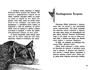 Garā ceļš mājās