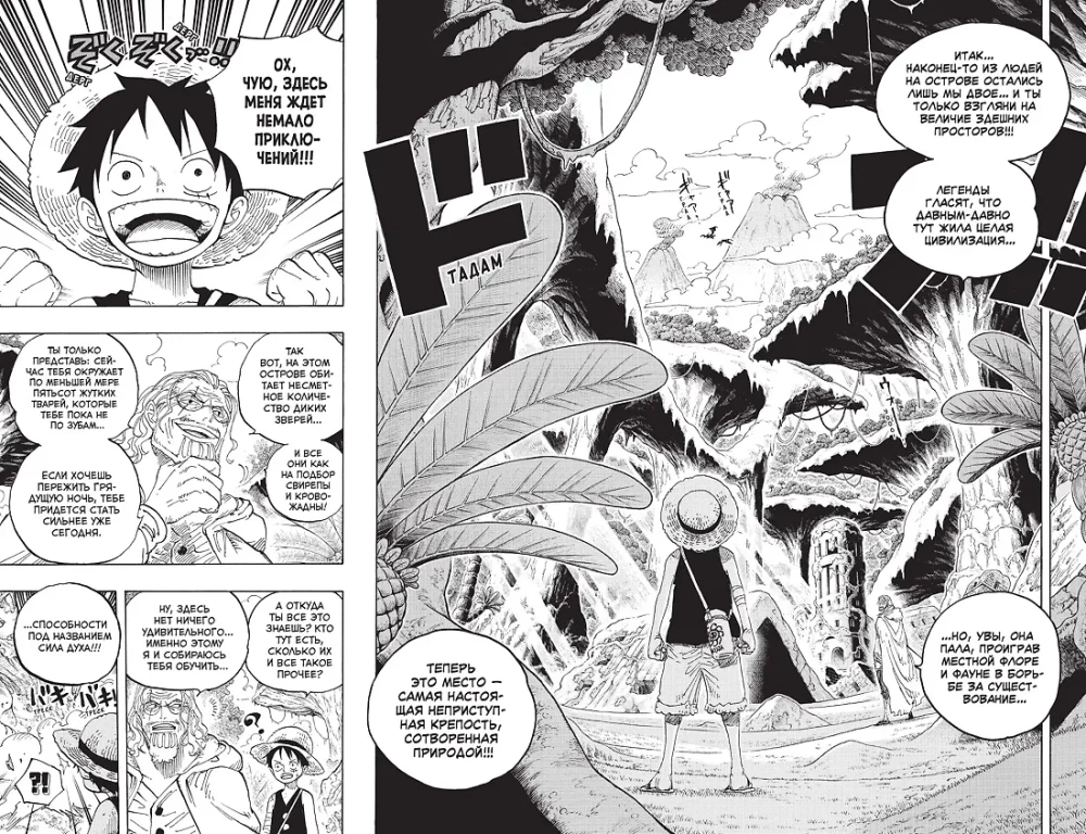 One Piece. Lielais laupījums. Grāmata 21. Piedzīvojumu rītausma. Jaunā gaisma