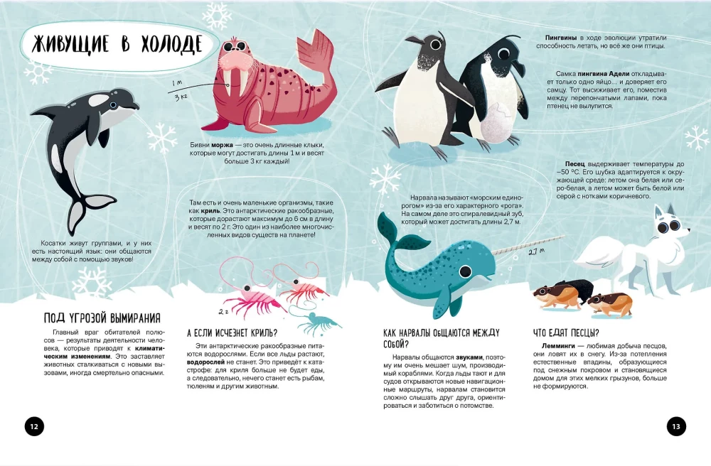 Kas? Kā? Kāpēc? Mani pirmie zināšanas par planētu Zeme
